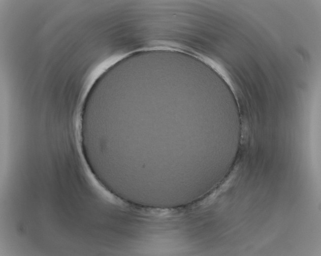 X0000114191003200911061359