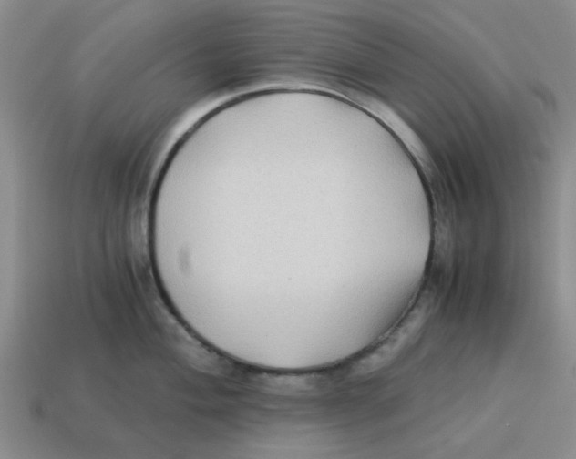 X0000114191004200911061359