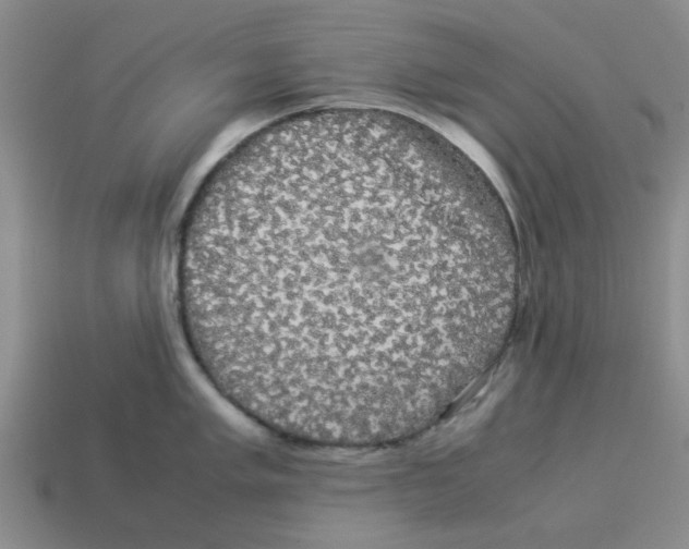 X0000114191005200911061359