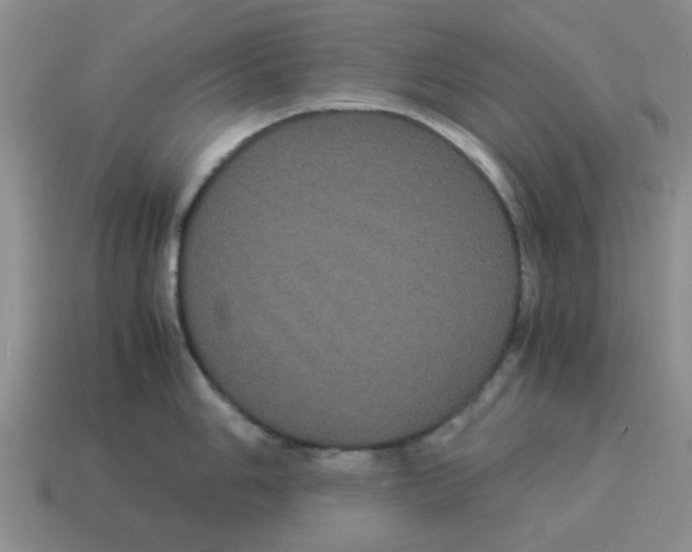 X0000114191006200911061359