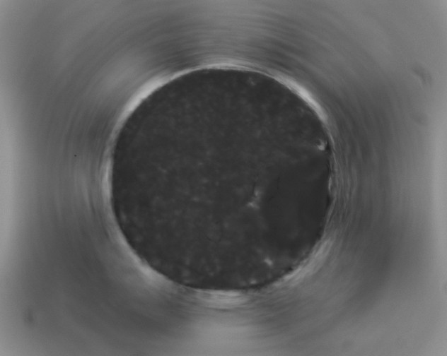 X0000114191007200911061359