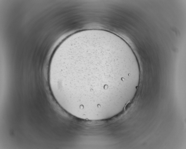 X0000114191008200911061359