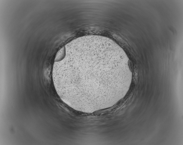 X0000114191010200911061358