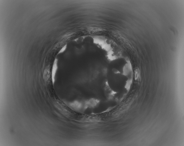 X0000114191011200911061358