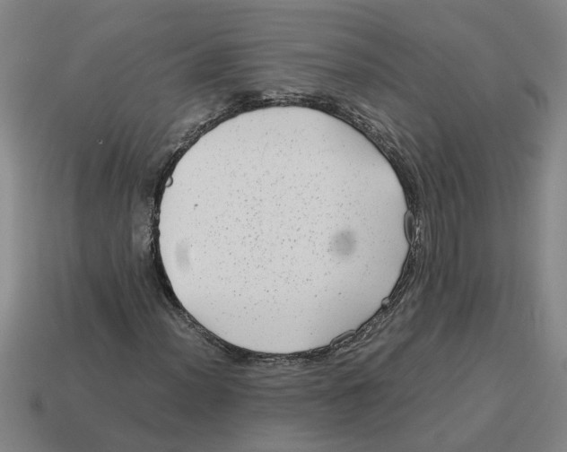 X0000114191012200911061358