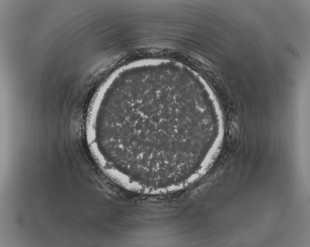 X0000114191014200911061358