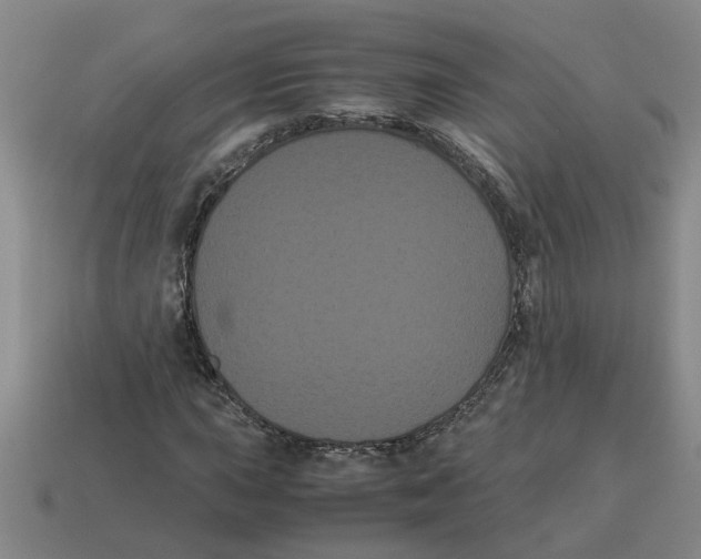 X0000114191015200911061358