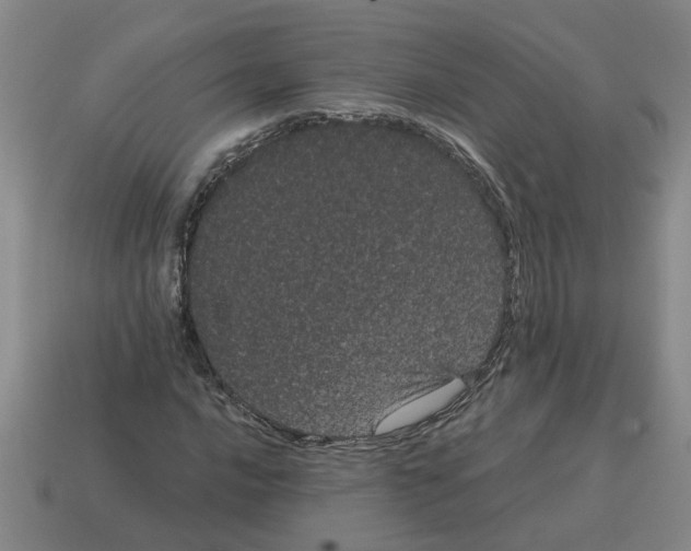 X0000114191016200911061358