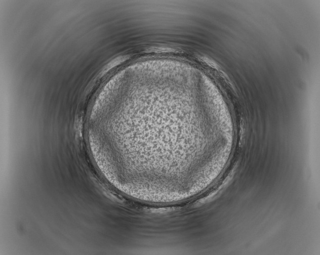 X0000114191017200911061358