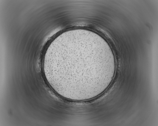 X0000114191018200911061358