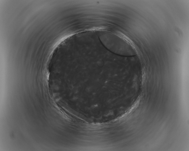 X0000114191019200911061358