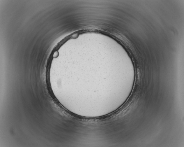 X0000114191020200911061358