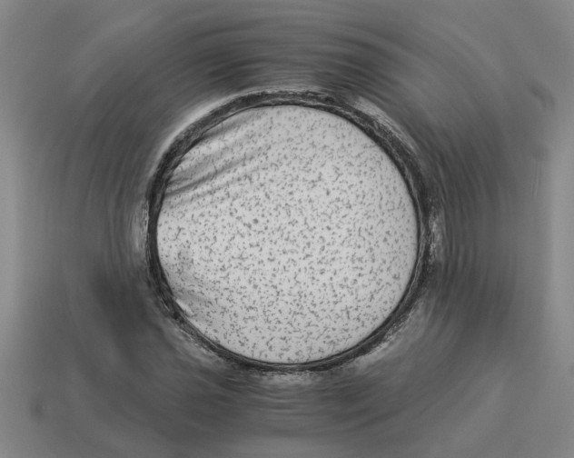 X0000114191021200911061358