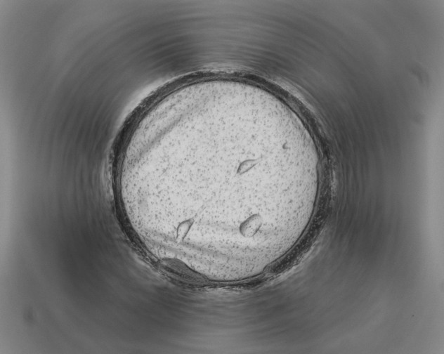 X0000114191022200911061358