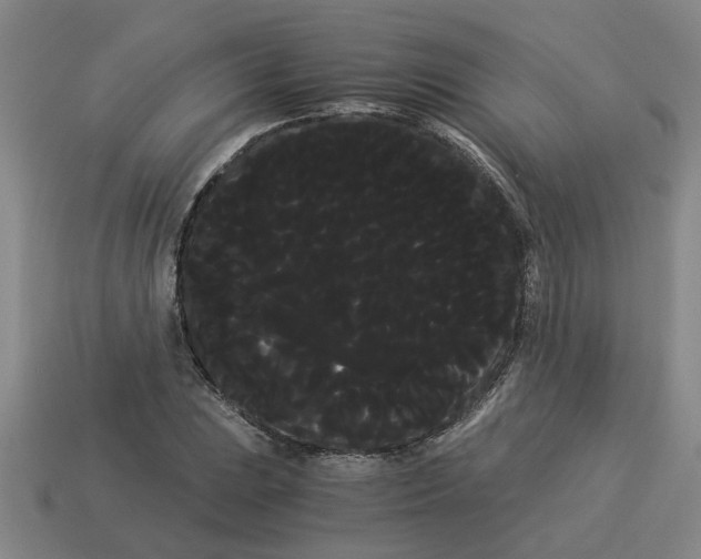 X0000114191023200911061358