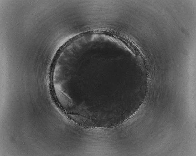 X0000114191024200911061358