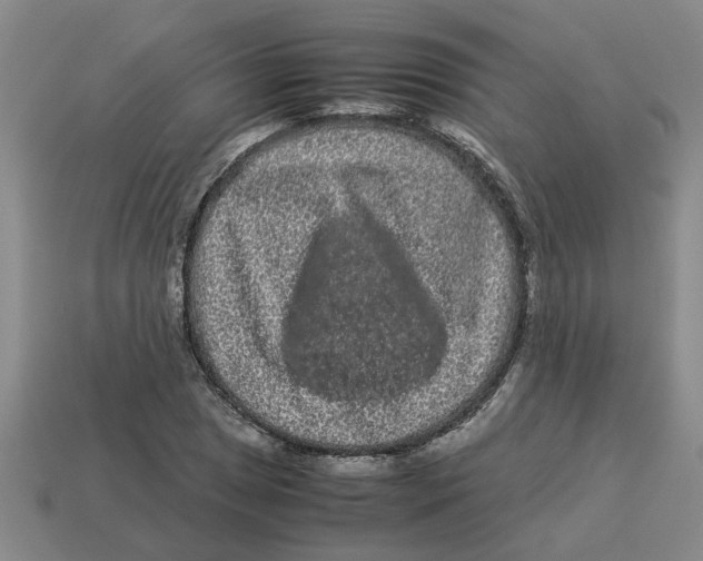 X0000114191025200911061358