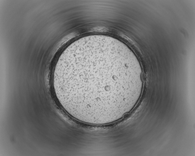 X0000114191026200911061358