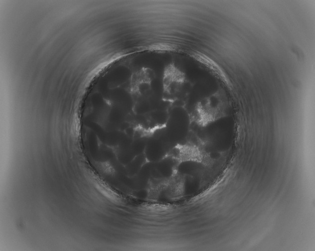 X0000114191027200911061358