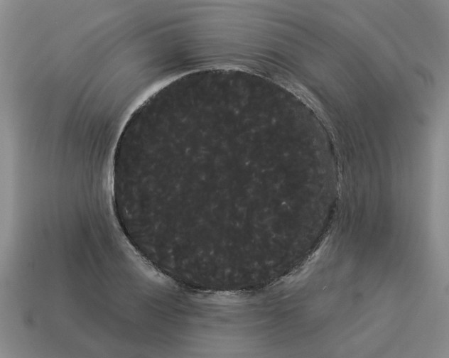 X0000114191028200911061358