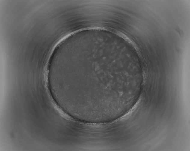 X0000114191029200911061358