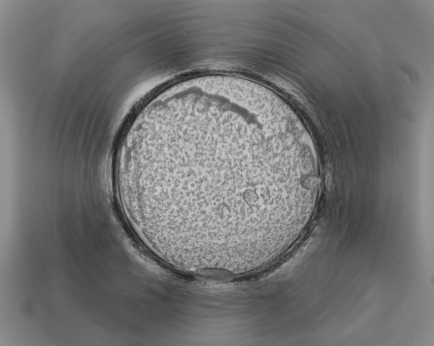 X0000114191030200911061358