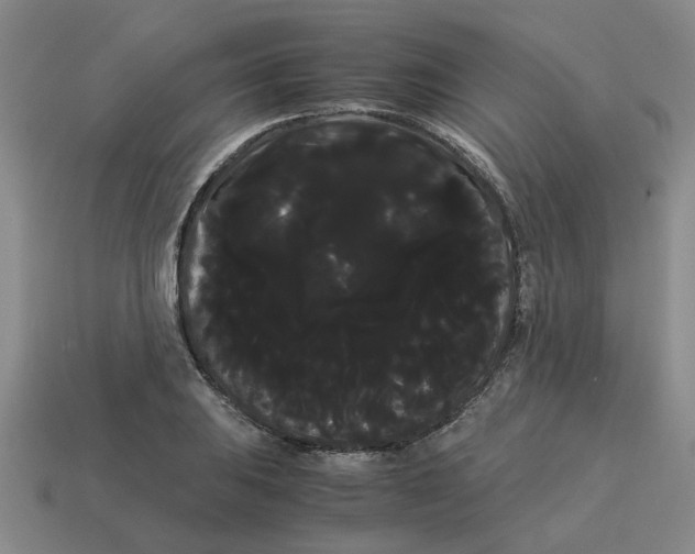 X0000114191031200911061358