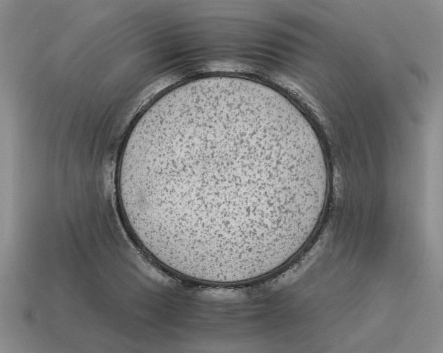 X0000114191033200911061358