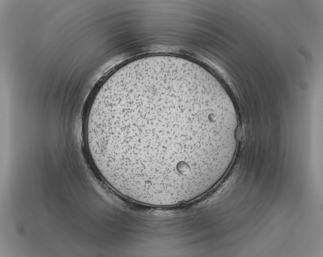 X0000114191034200911061358