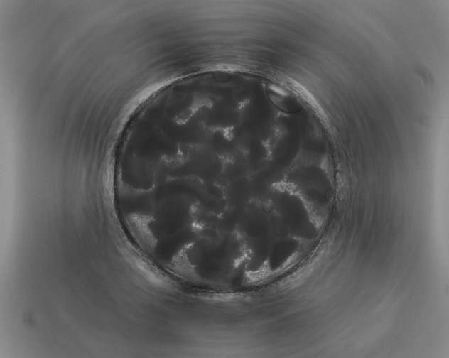 X0000114191035200911061358