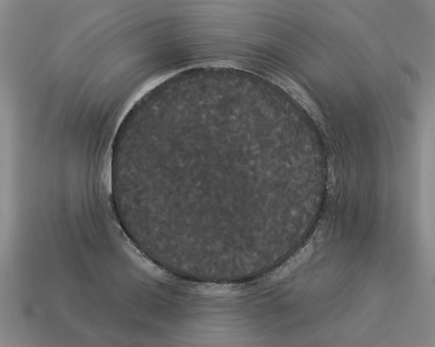 X0000114191036200911061358