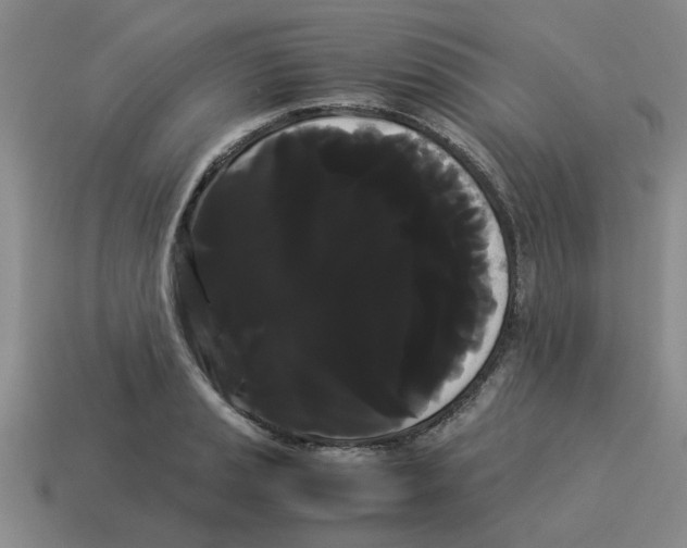 X0000114191037200911061358