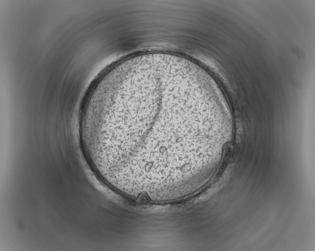 X0000114191038200911061358