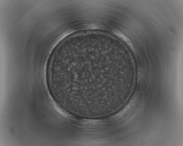 X0000114191039200911061358