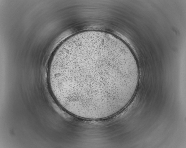 X0000114191042200911061358