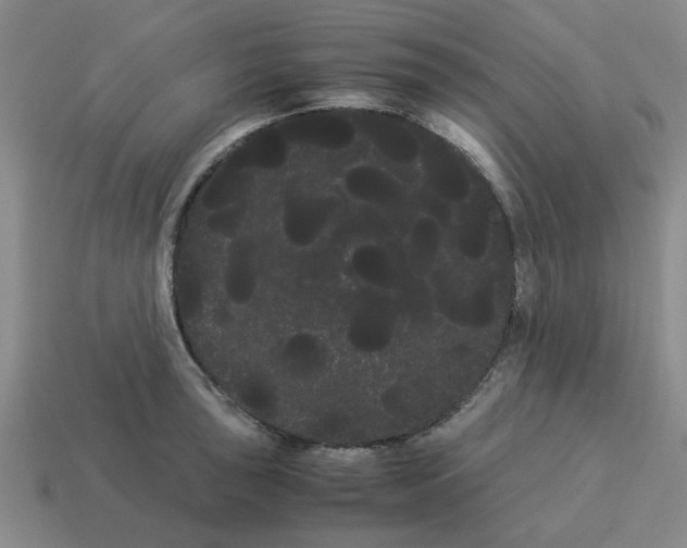 X0000114191043200911061358