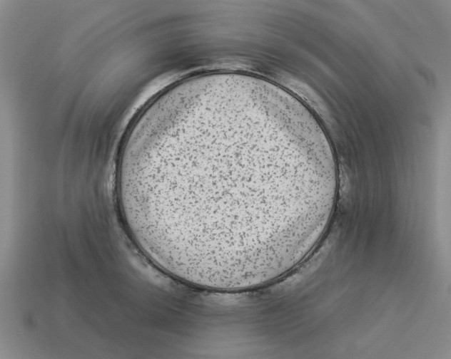 X0000114191044200911061358