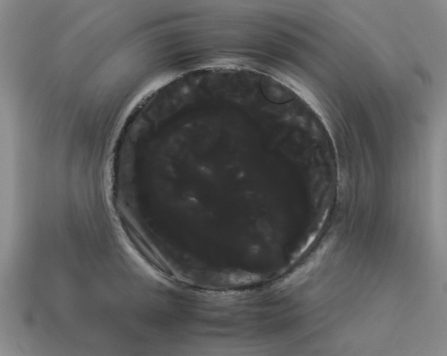 X0000114191045200911061358