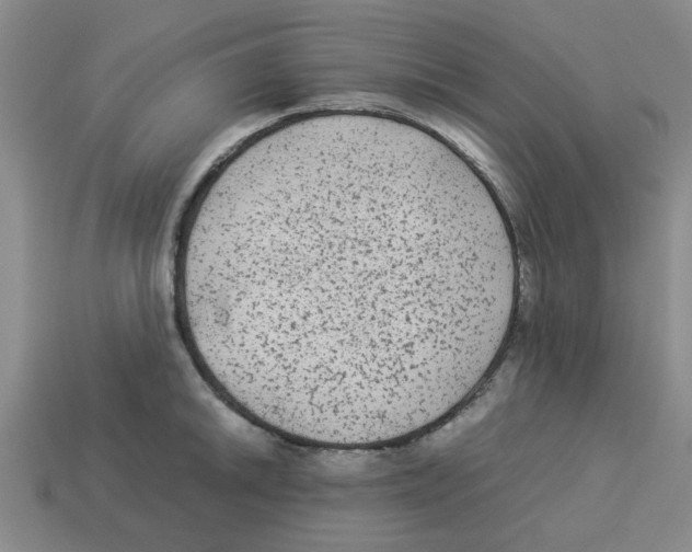 X0000114191046200911061359