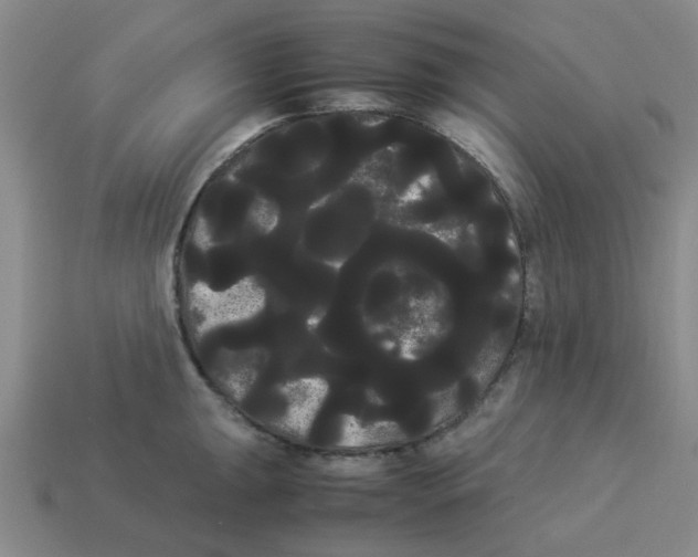 X0000114191047200911061359