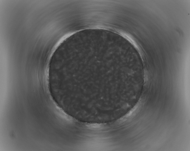 X0000114191048200911061359