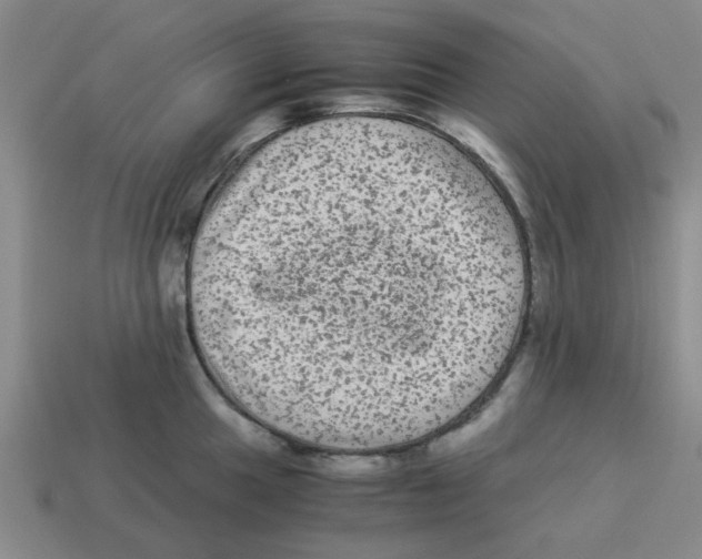 X0000114191049200911061359