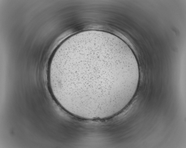 X0000114191050200911061359