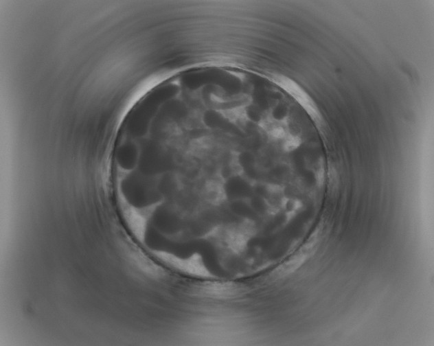 X0000114191052200911061359