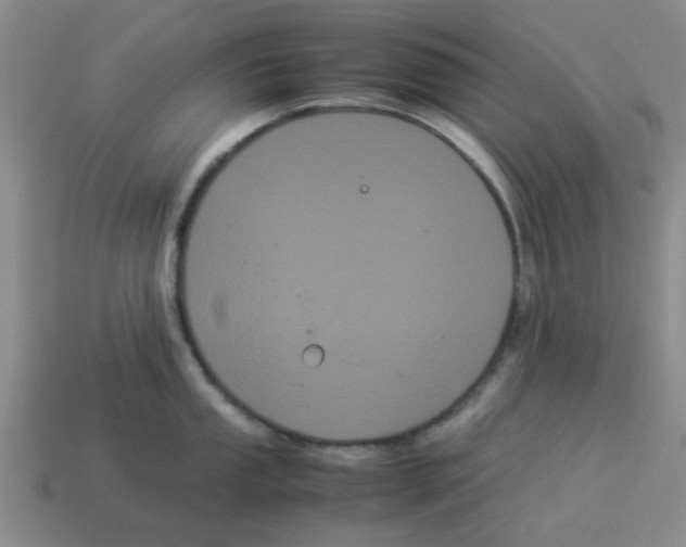 X0000114191053200911061359