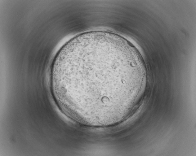 X0000114191054200911061359