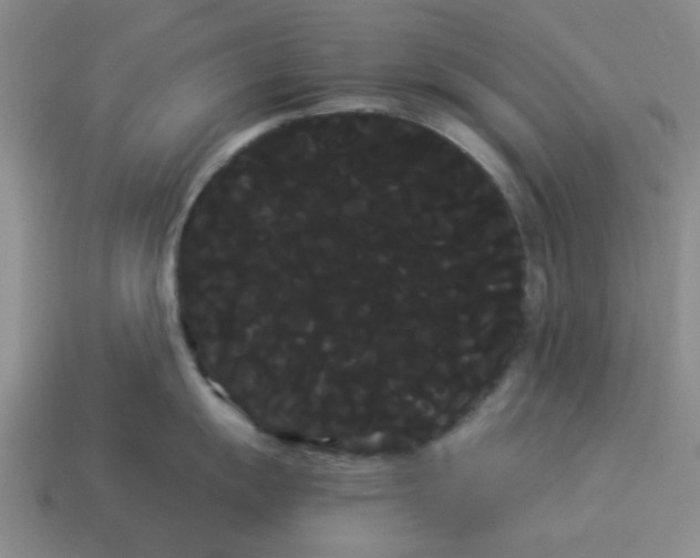 X0000114191055200911061359