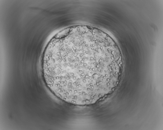 X0000114191056200911061359