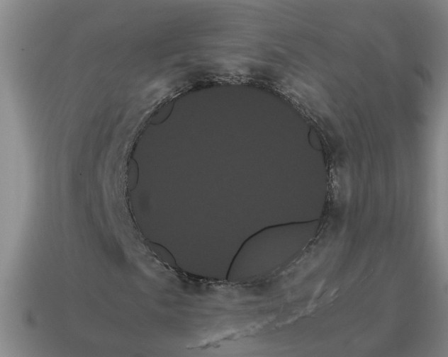 X0000114191057200911061358