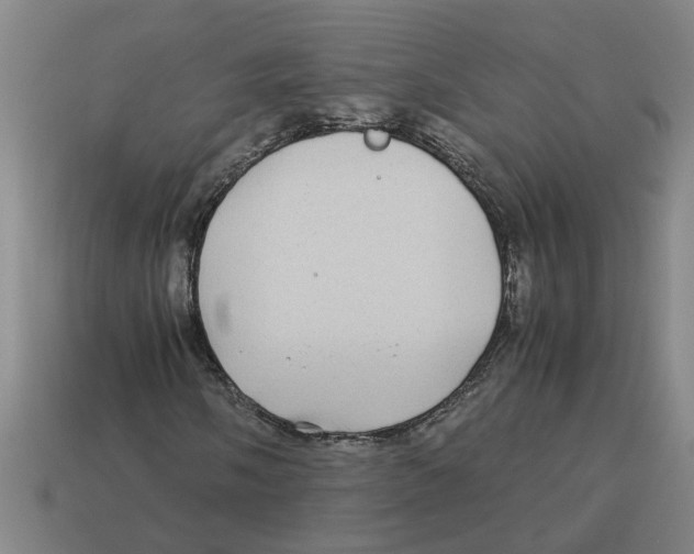 X0000114191058200911061358